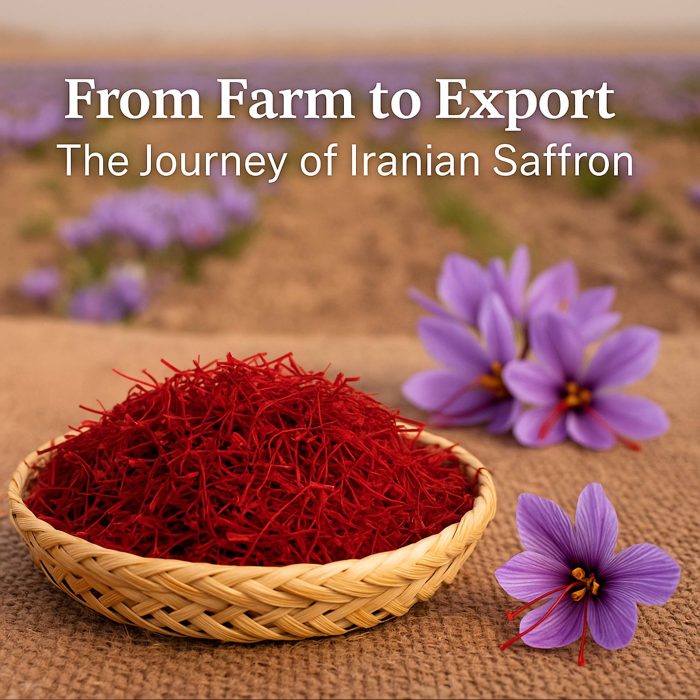 The Journey of Iranian Saffron: From Farm to Global Export